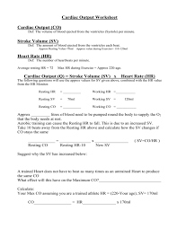 Image result for Cardiovascular Worksheets