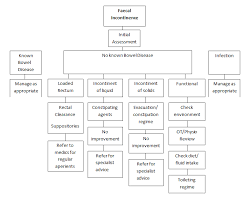 Foi Ref 6231 Bowel And Bladder Incontinence Post Stroke Pdf