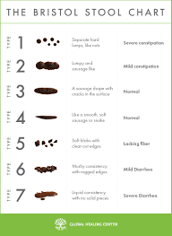 71 Correct Poop Chart Photos