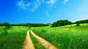 If there are photos or images that shouldn't be promoted in gallery for use as backgrounds, let me know for remove it. Nature Hd Wallpaper 1920x1080 31132