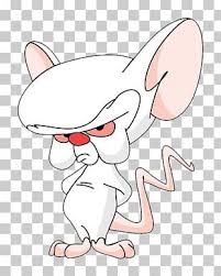 However, this did tend to remove it. Pinky And The Brain Png Images Pinky And The Brain Clipart Free Download