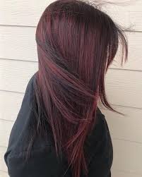 Black Cherry Hair By Kayla Jean Kaylajeanhair Pensacola Beach Fusionspasalonaveda Aveda Avedahairc With Images Aveda Hair Color Black Cherry Hair Balayage Hair