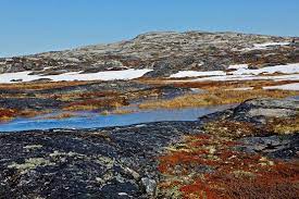 Tundra iklimi içerisinde on ay buzlanma görülürken; Tundra Iklimi Turleri Ve Ozellikleri