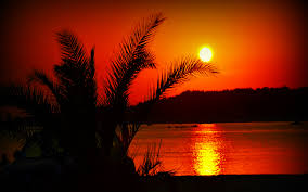 Choose from a curated selection of sunset wallpapers for your mobile and desktop screens. Beach Tumblr Wallpaper Photos With Quotes Summer Gifs Quotes Dogtrainingobedienceschool Com