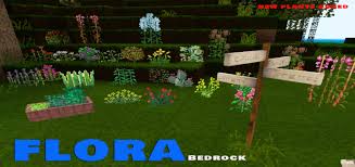So well, that was all about the addons, it will have more updates in the future, to know the enchantment of each apple, pass it on my youtube channel:carlos gamer473, and follow me on tiwitter:@carlosg473 it will release espoilers about new addons and updates, then and this, have fun. Flora Bedrock Add On Minecraft Pe Mods Addons