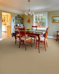 Don't worry about stains because even if you can't get to the accident right away, the stainmaster pet protect will keep the pet accident from ruining or staining your carpet. 49 Stainmaster Pet Protect Ideas Stainmaster Pet Friendly Carpets Floors And More