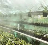 Greenhouse Misting Systems | Greenhouse Cooling Solutions