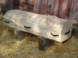Kind Of Morbid But If I Were Being Buried I Think This Log Casket Would Be Cool Wood Casket Casket Coffin Display