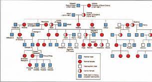 Haemophilia in european royalty wikipedia. Tracking Haemophilia In Queen Victoria And Her Descendants Adapted Download Scientific Diagram