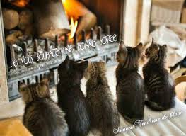 RÃ©sultat de recherche d'images pour "images tendresse du blanc"