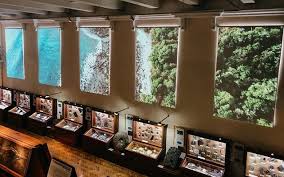 Lookwayup full version try it buy it. News Sharp Nec Display Solutions