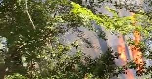 We've got 30 hotels to choose from within just a mile of provincial nature reserve pineta dannunziana. Nuovo Incendio Nella Pineta Dannunziana Video E Fotogallery Pescara Il Centro