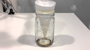 how to get rid of fruit flies in the