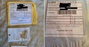 Check spelling or type a new query. Mystery Seeds From China Are Landing In Americans Mailboxes Cbs News