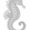 Seahorse (with big tummy) 4. 3
