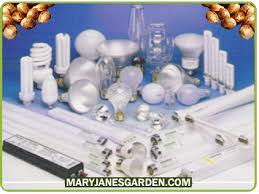 For example they are great for the seedling and early vegetation stage as they don't produce a lot of heat and are a lower wattage of light making it easy for a young plant to grow under. Fluorescent Lights Cfl For Growing Marijuana Mary Jane S Garden