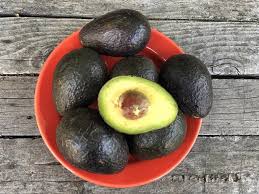 Image result for Light Avocado 1983 Fedders