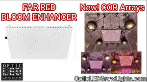 In this article, we will together answer the question about led grow light. Canagrow 100w Cree Cxb3590 Cob Led Grow Light By Mickey John