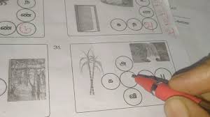 Download our new 1st grade worksheets. 1st Std Tamil Half Yearly Question Paper Model Practice No 2 Youtube