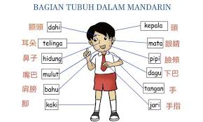 We did not find results for: Cara Cepat Belajar Bahasa Mandarin Dan Kosakata Sehari Hari Penulis Cilik