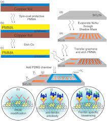 Metal objects in the ground all conduct electricity better or worse. Sensors Free Full Text Graphene Based Biosensor For Early Detection Of Iron Deficiency Html
