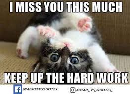 Get 100 S Of Best I Miss You Meme To Share With Love You and your friends always have the best times when you're together. memes vs quotes