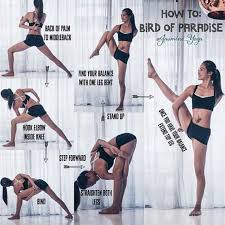 Bird Of Paradise Yoga Pose Yogaposesandstretches Yogasequences Advanced Yoga Yoga Help Yoga Tips