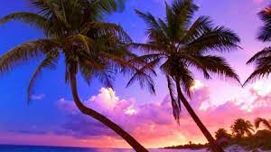 You can also upload and share your favorite sunset beach backgrounds. Exotic Beach Near Cancun Mexico Beaches Nature Background Wallpapers On Desktop Nexus Image 2239163