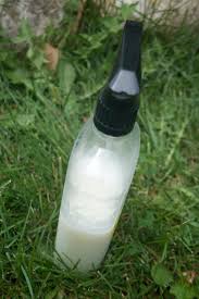 Find out what causes it and how you can you prevent it? How To Control Powdery Mildew With These 3 Simple Steps My Humble Kitchen