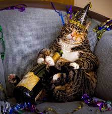 Happy New Year S Cat The Slanted Lens Happy New Year Funny Christmas Cats Cat Day