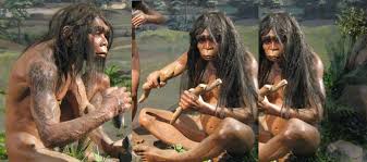 Latar belakang pengaruh perpustakaan di sekolah terhadap mutu pendidikan. Pengertian Zaman Prasejarah Dan Pembagian Zaman Prasejarah