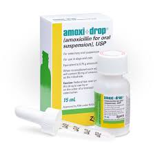 Image result for Amoxicillin