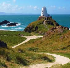 Sea Horse A Sea Horse At Olomouc Zoo In Northern Moravia Czech Republic Sponsored Horse Olomouc Sea Sea Horse Ad Lighthouse Olomouc Moravia