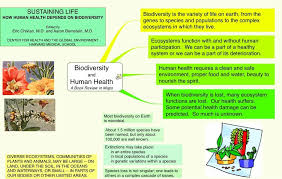 Biodiversity And Human Health Mind Mapping Software Mind Map Biodiversity