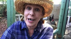 Pet Alligator--Actual Posts From The Nextdoor App