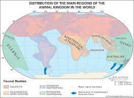 Biogeographic region | Definition, Features, Locations, & Facts | Britannica