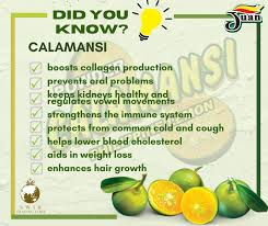 Juan calamansi powder were sold and distributed also locally through multilevel or network marketing but only flourished for 2 to 3 years. Calamansi Powder Home Facebook