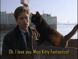 The Buffy-Files via Relatably.com