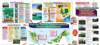 Di sekitar pantai ini juga masih banyak terdapat hutan bakau yang lebat. Photo