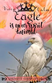 The animal spirit is also regarded as a guide who might appear in dreams in the form of an animal. Eagle Symbolism Eagle Meaning Eagle Spirit Animal Guidance