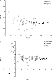 Image result for Eragrostis welwitschii