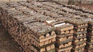 Asta pentru a evita sa primesti mai putin decat platesti. Lemne De Foc Pentru IarnÄƒ La 175 Lei Metrul Cub Magazin SÄƒlÄƒjean