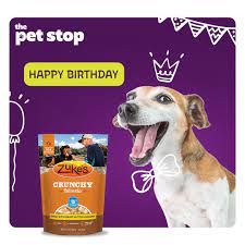 Maybe you would like to learn more about one of these? Pet Stop Abu Dhabi Posts Facebook