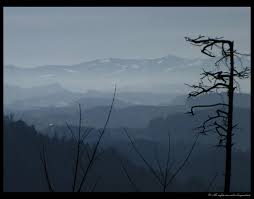 Liebe gemeinde, ein aufruf zum gebet ist mit dem eidgenössischen bettag verbunden, den wir in diesem jahr am 19. Elevation Of Aarberg Switzerland Topographic Map Altitude Map