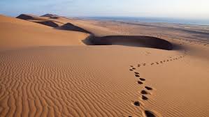 Interesting tracks on a dune… tracks of the sidewinder, a snake that only lives in the namib desert and is one of the smallest adders in the world with a maximum length of 30 cm. Namibia Desert Tour Review Swakopmund The Adventure Capital