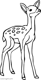 Maybe you would like to learn more about one of these? Baby Deer Coloring Pages Coloringall