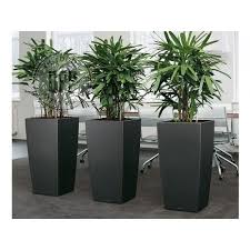 Sign up for uo rewards and get 10% off your next purchase. Lechuza Cubico Planter Several Colors And Sizes Optional Self Watering Large Garden Pots Artificial Plants Artificial Plants Indoor