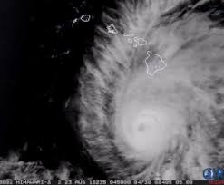 「"leave a reply" perilously」的圖片搜尋結果