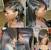 Shoulder Length Flat Iron Hairstyles For Black Hair