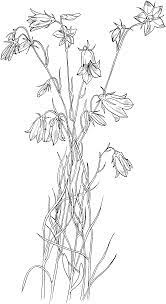Pin On Embroidery Patterns